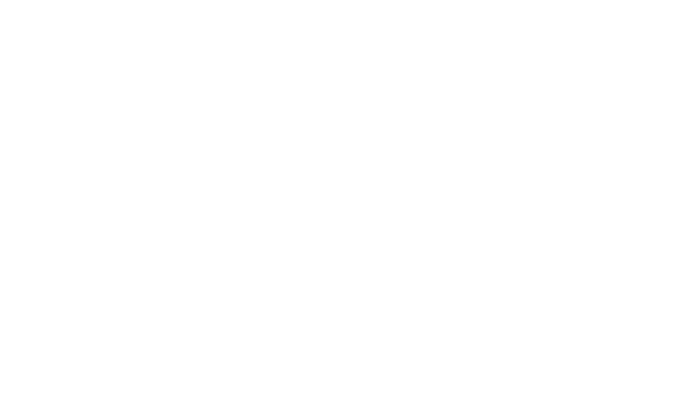 Plainsight Security